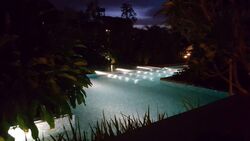 The Skywoods (D23), Condominium #579042491